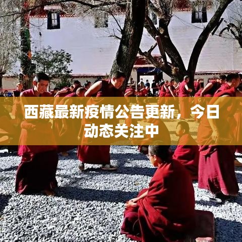 西藏最新疫情公告更新,今日動態關注中
