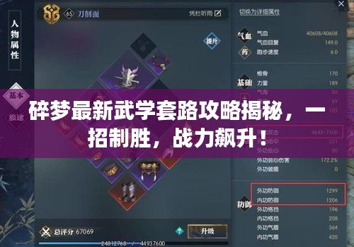 碎夢最新武學套路攻略揭秘,一招制勝,戰力飆升!
