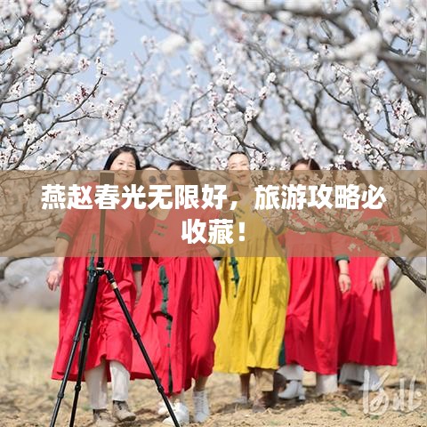 異口同聲 第3頁