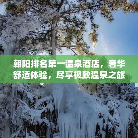 朝陽排名第一溫泉酒店,奢華舒適體驗,盡享極致溫泉之旅