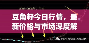 豆角籽今日行情,最新價格與市場深度解析