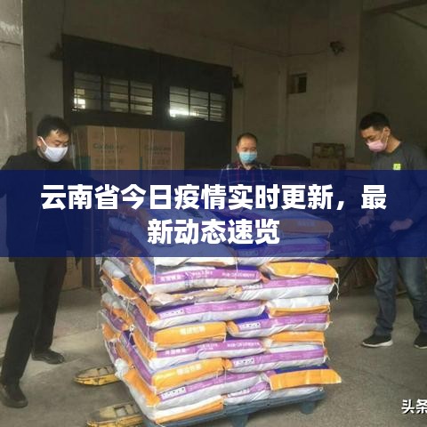 云南省今日疫情實時更新，最新動態速覽