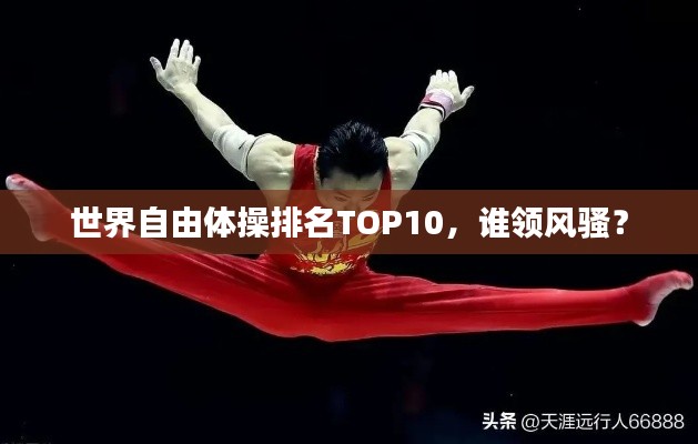 世界自由體操排名TOP10，誰領風騷？