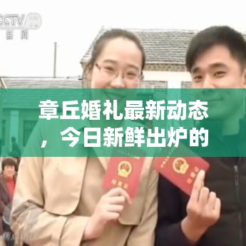 章丘婚禮最新動態,今日新鮮出爐的婚禮消息匯總