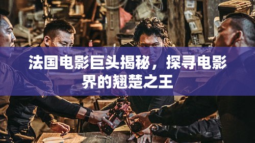 法國電影巨頭揭秘,探尋電影界的翹楚之王