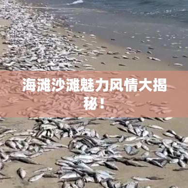 海灘沙灘魅力風(fēng)情大揭秘!