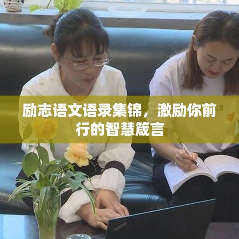 斗志昂揚(yáng) 第3頁(yè)