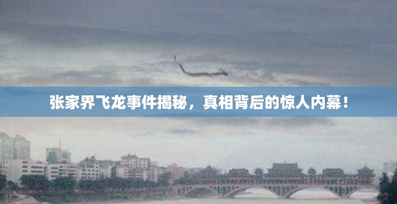 張家界飛龍事件揭秘，真相背后的驚人內幕！