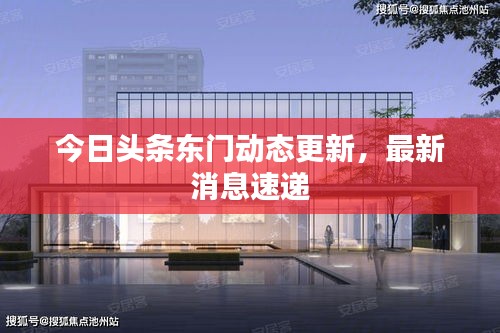 今日頭條東門動態更新,最新消息速遞