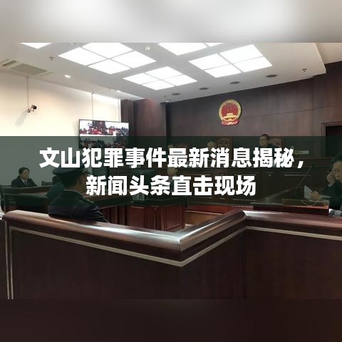 文山犯罪事件最新消息揭秘，新聞頭條直擊現場