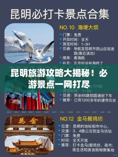 昆明旅游攻略大揭秘！必游景點一網打盡
