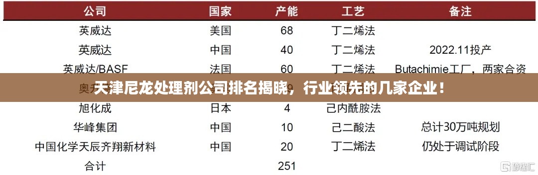 天津尼龍處理劑公司排名揭曉,行業領先的幾家企業!