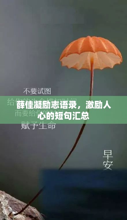 薛佳凝勵志語錄,激勵人心的短句匯總