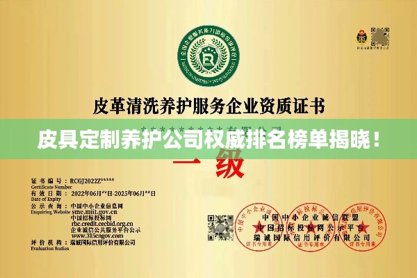 皮具定制養(yǎng)護(hù)公司權(quán)威排名榜單揭曉!