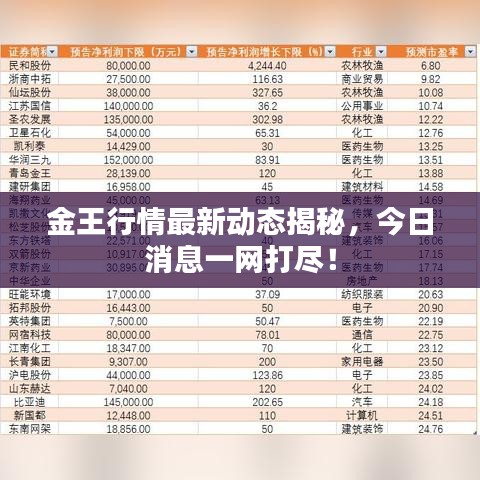 金王行情最新動態揭秘，今日消息一網打盡！