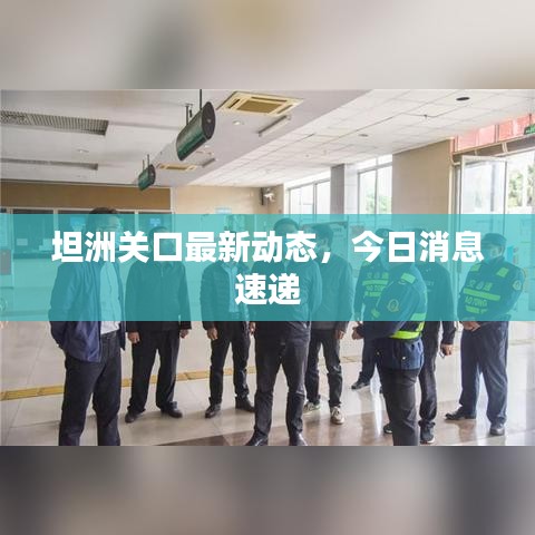 坦洲關(guān)口最新動態(tài)，今日消息速遞