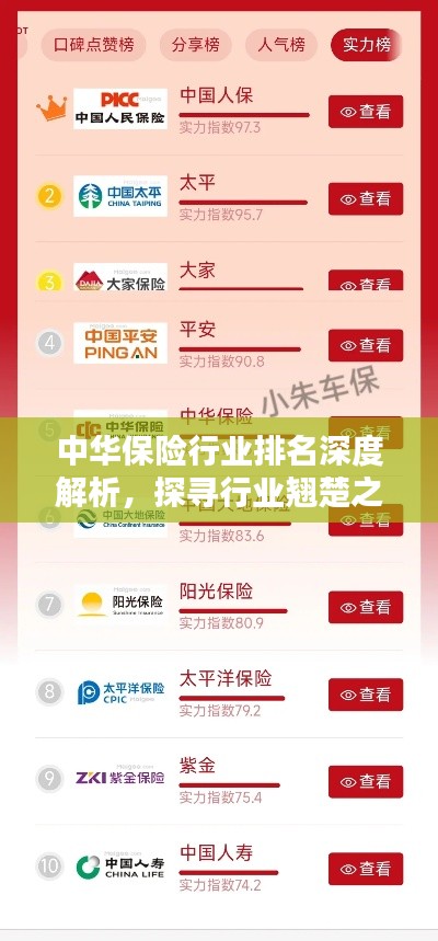 中華保險(xiǎn)行業(yè)排名深度解析,探尋行業(yè)翹楚之路