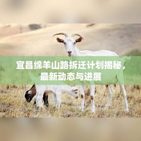 宜昌綿羊山路拆遷計劃揭秘，最新動態(tài)與進(jìn)展