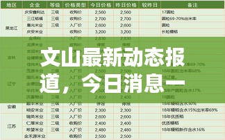 文山最新動態報道，今日消息一網打盡！