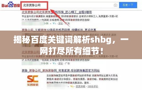 揭秘百度關鍵詞解析shbg,一網打盡所有細節!
