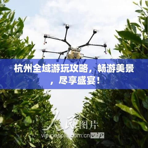 杭州全域游玩攻略,暢游美景,盡享盛宴!