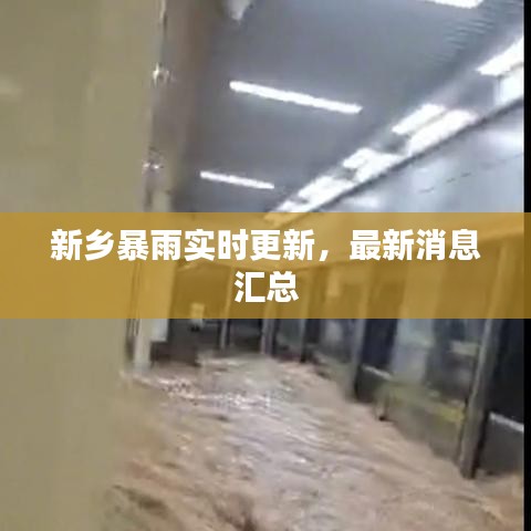 新鄉暴雨實時更新,最新消息匯總