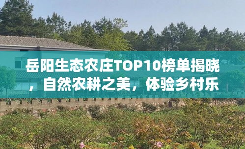 岳陽生態(tài)農莊TOP10榜單揭曉,自然農耕之美,體驗鄉(xiāng)村樂趣