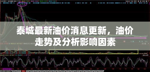 泰城最新油價(jià)消息更新,油價(jià)走勢(shì)及分析影響因素