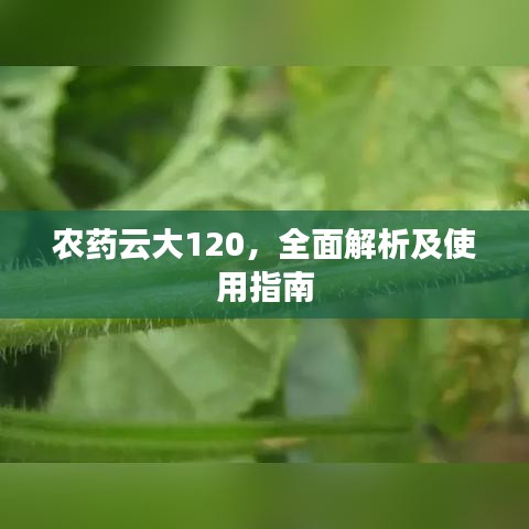 農(nóng)藥云大120,全面解析及使用指南