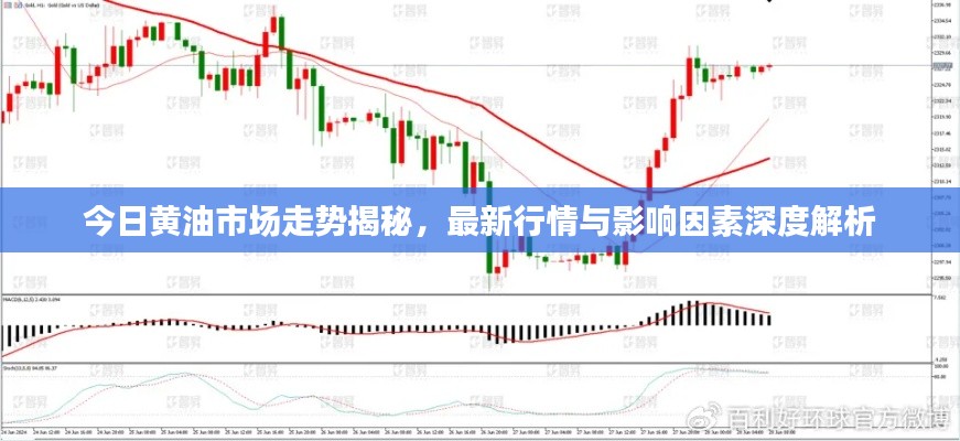今日黃油市場走勢揭秘，最新行情與影響因素深度解析