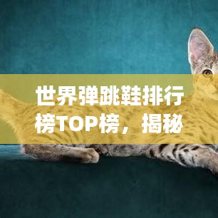 世界彈跳鞋排行榜TOP榜,揭秘彈跳力最強的鞋款!