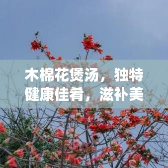 木棉花煲湯,獨特健康佳肴,滋補美味之選