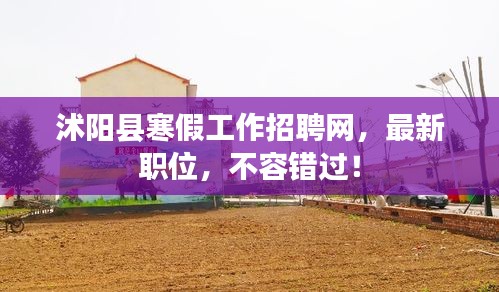 沭陽縣寒假工作招聘網,最新職位,不容錯過!