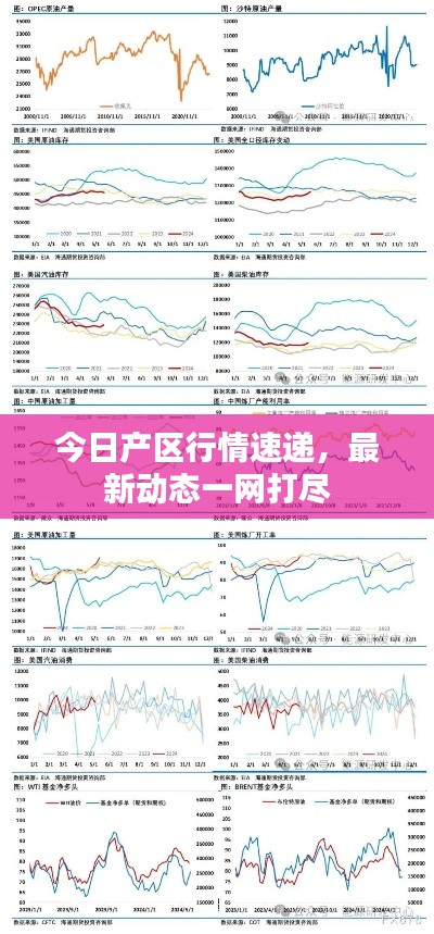 今日產區行情速遞,最新動態一網打盡