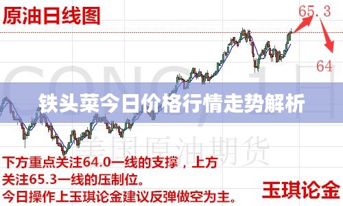 鐵頭菜今日價(jià)格行情走勢解析