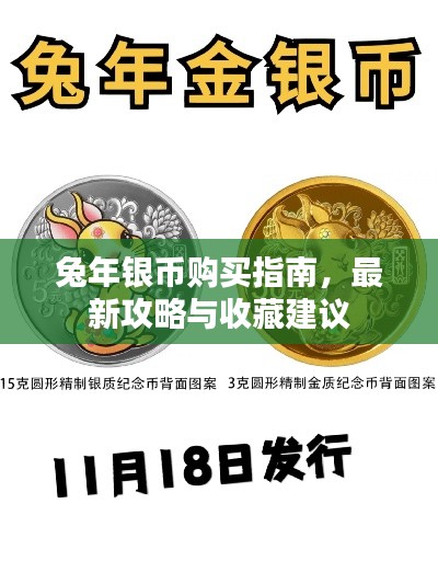 兔年銀幣購買指南,最新攻略與收藏建議