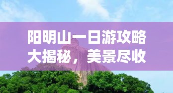 陽明山一日游攻略大揭秘，美景盡收眼底！