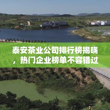 泰安茶業公司排行榜揭曉，熱門企業榜單不容錯過！
