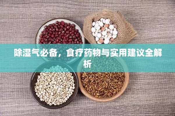 除濕氣必備,食療藥物與實用建議全解析