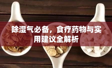 除濕氣必備,食療藥物與實用建議全解析