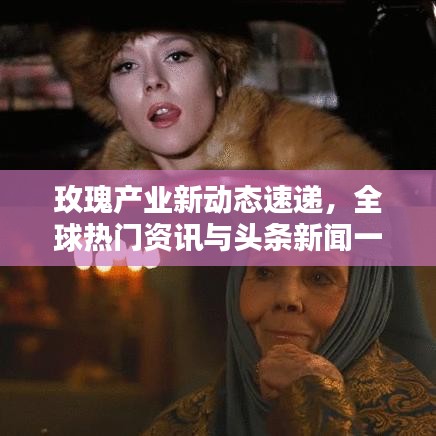 玫瑰產業新動態速遞,全球熱門資訊與頭條新聞一網打盡