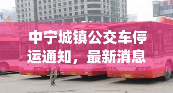 中寧城鎮公交車停運通知,最新消息及影響分析