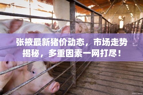 張掖最新豬價(jià)動(dòng)態(tài),市場(chǎng)走勢(shì)揭秘,多重因素一網(wǎng)打盡!