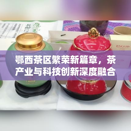 鄂西茶區(qū)繁榮新篇章,茶產(chǎn)業(yè)與科技創(chuàng)新深度融合引領發(fā)展之路