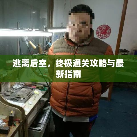 逃離后室,終極通關攻略與最新指南