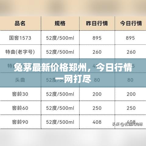 兔茅最新價格鄭州，今日行情一網打盡