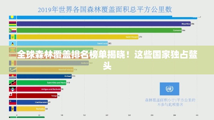 全球森林覆蓋排名榜單揭曉！這些國家獨(dú)占鰲頭