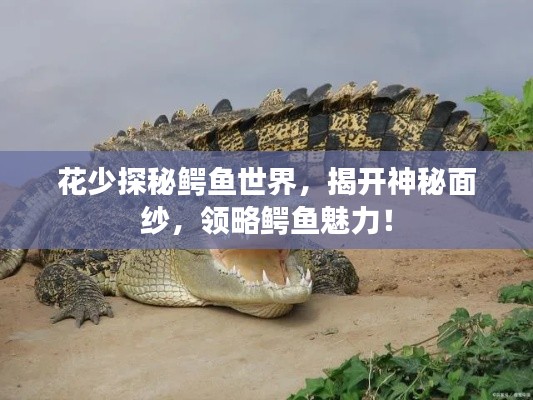 花少探秘鱷魚世界,揭開神秘面紗,領(lǐng)略鱷魚魅力!