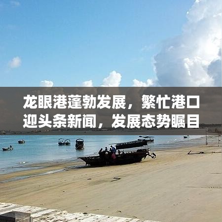 龍眼港蓬勃發(fā)展,繁忙港口迎頭條新聞,發(fā)展態(tài)勢矚目