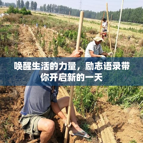 喚醒生活的力量,勵志語錄帶你開啟新的一天